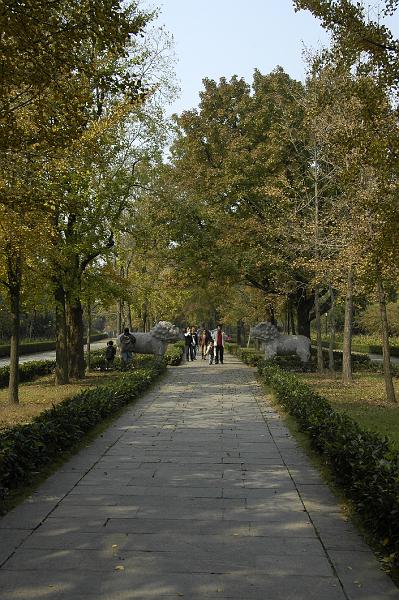 P2007110419.jpg - Nanjing, het "helig pad" naar de Hong Wu tombe, het graf van de eerste Ming keizer, gelegen aan de voet van de Purperen Bergen. De Shixiang Lu (weg van de stenen beelden).