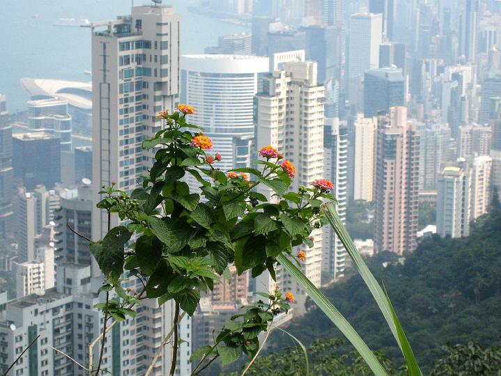 A2007102221.jpg - Hongkong; uitzicht vanaf Victoria Peak.